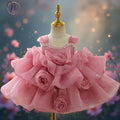 Blush Rose Princess Party Dress