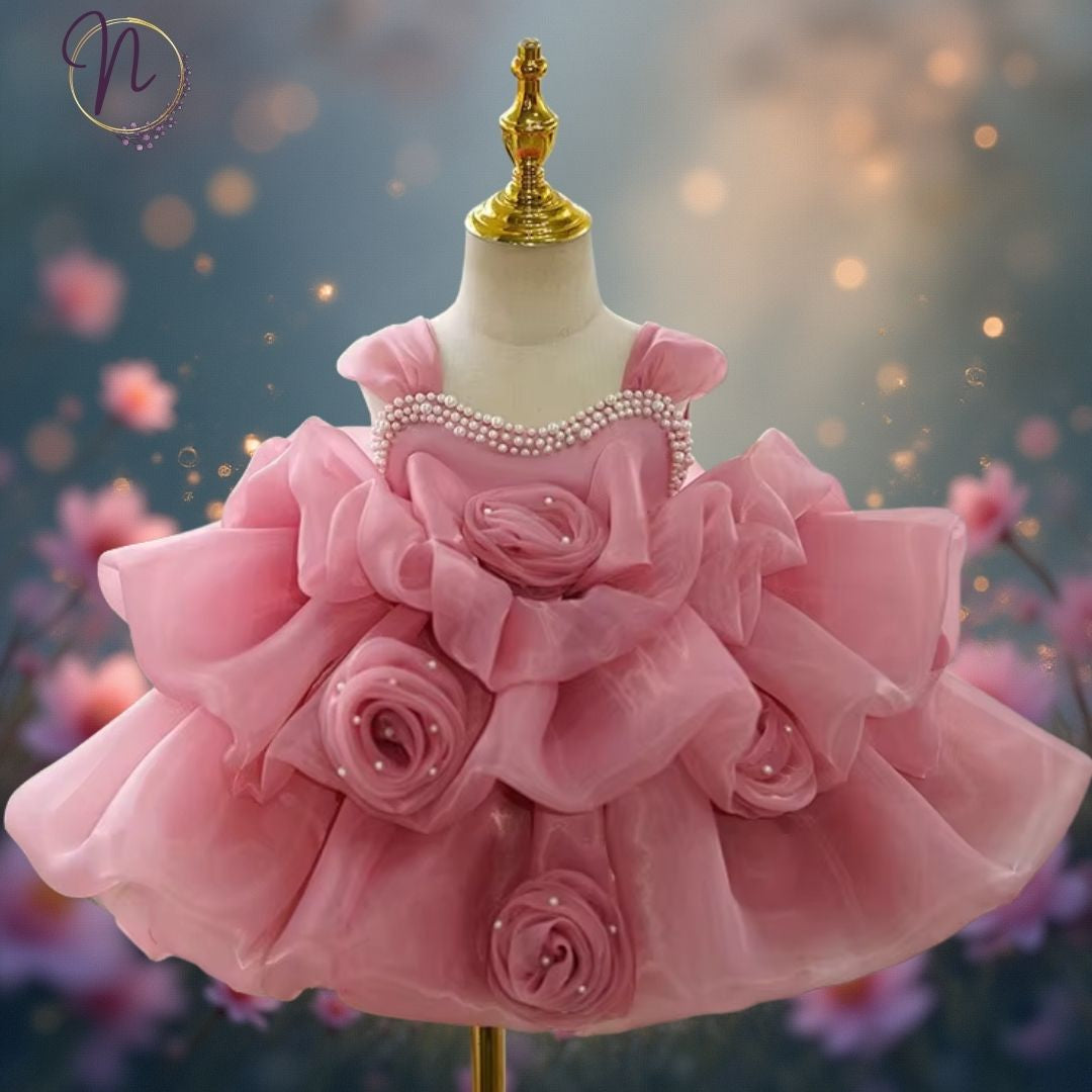 Blush Rose Princess Party Dress