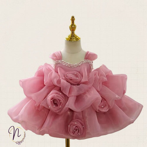 Blush Rose Princess Party Dress
