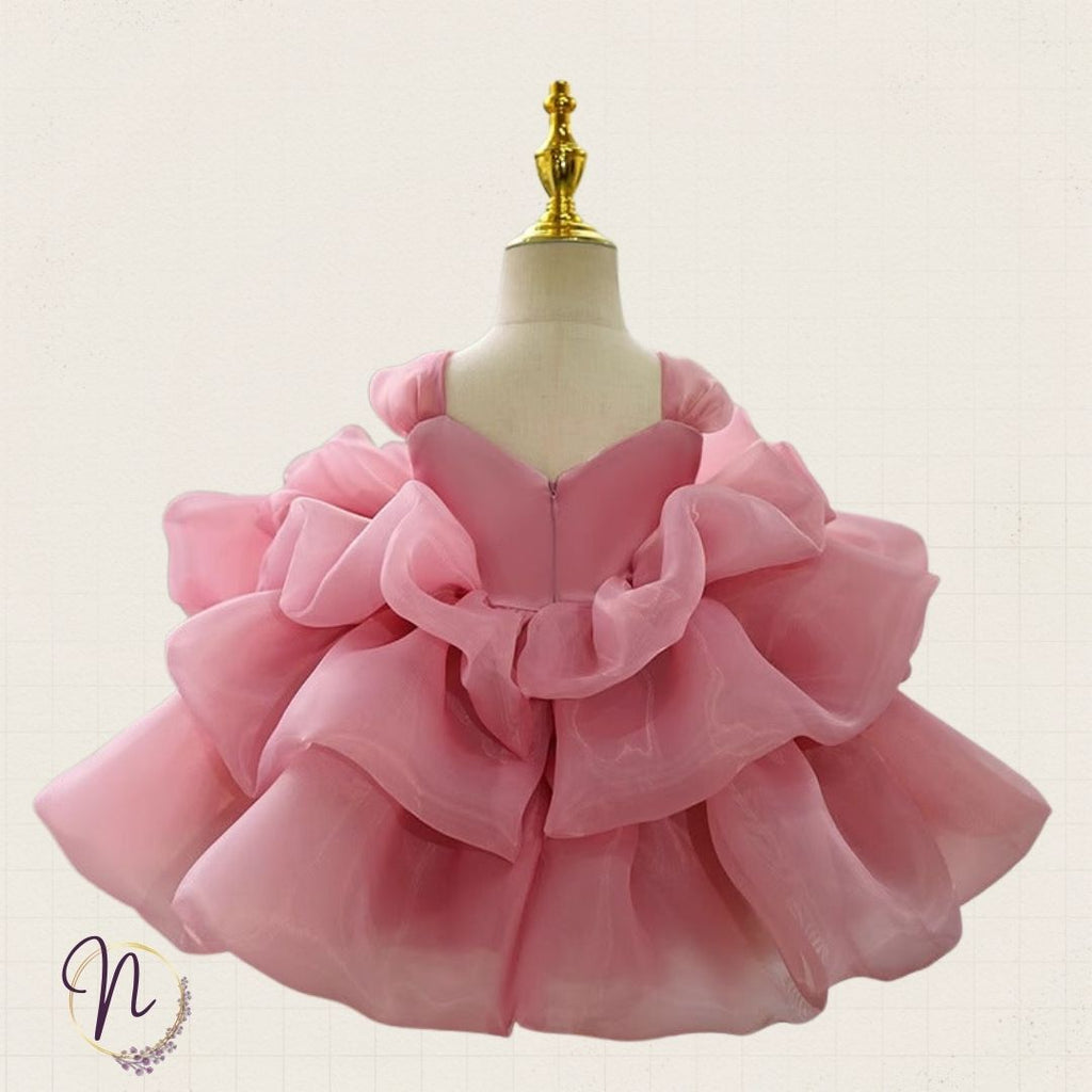 Blush Rose Princess Party Dress