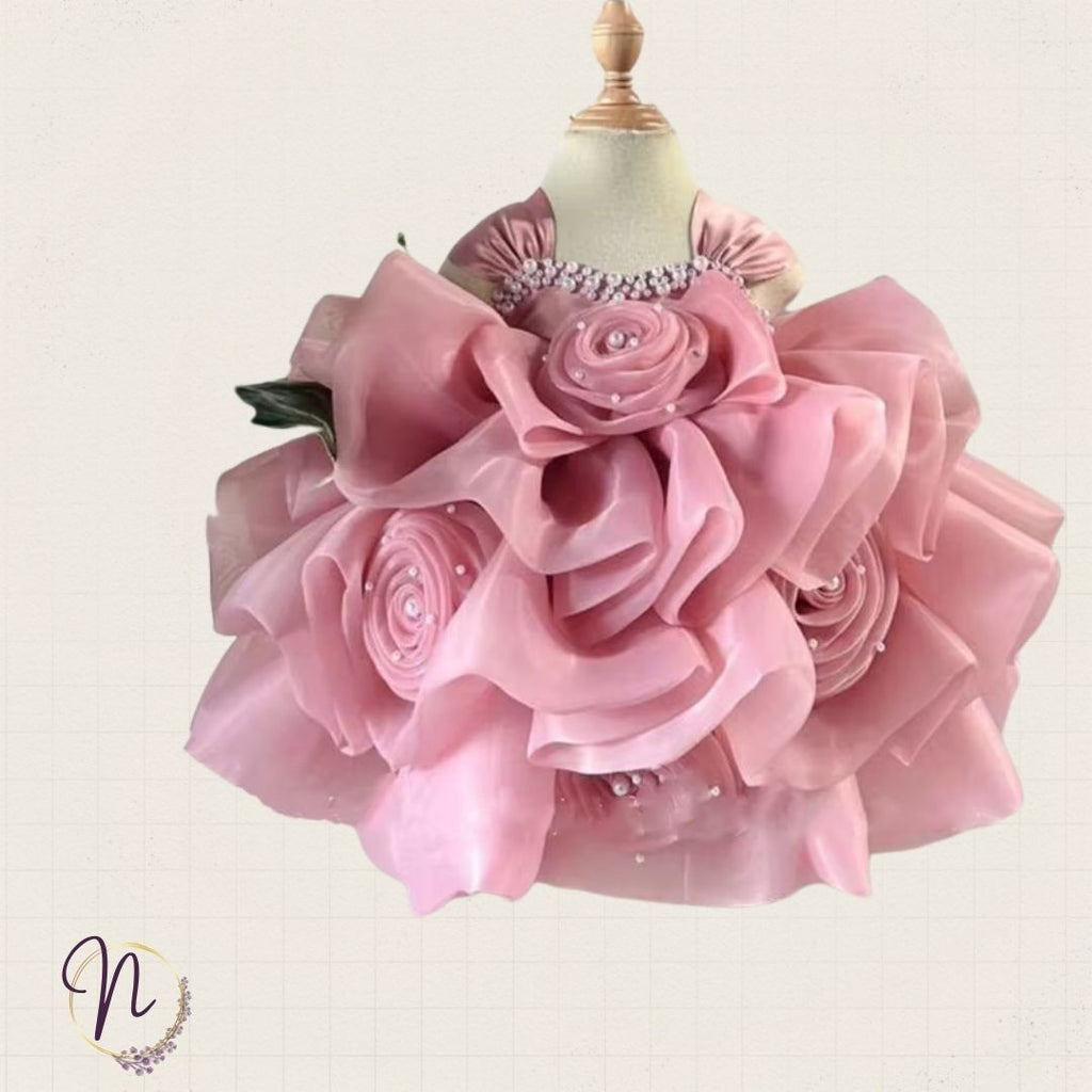 Blush Rose Princess Party Dress