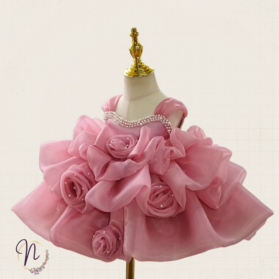 Blush Rose Princess Party Dress