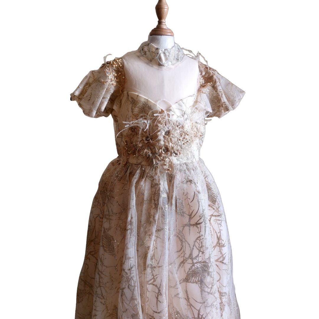 Golden Feather Elegance Dress